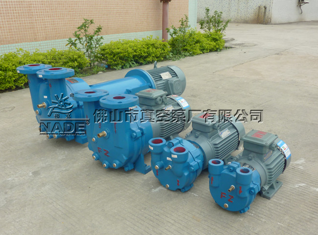 2BVF系列水環真空泵